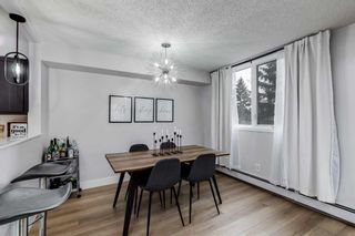 Photo 5: 405 225 25 Avenue SW in Calgary: Mission Apartment for sale : MLS®# A2125995