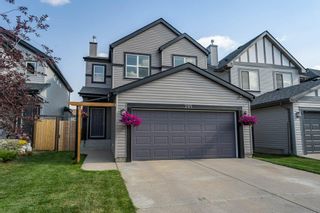 Main Photo: 205 Copperfield Common SE in Calgary: Copperfield Detached for sale : MLS®# A2003342
