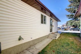 Photo 39: 14 Sunnyside Place SE: Airdrie Detached for sale : MLS®# A2009044