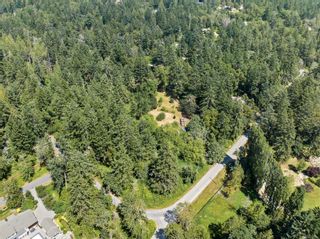 Photo 32: 8111 Mcphail Rd in Central Saanich: CS Inlet House for sale : MLS®# 910743