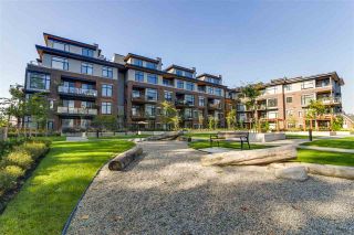 Photo 17: 105 262 SALTER Street in New Westminster: Queensborough Condo for sale : MLS®# R2155950
