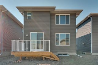 Photo 39: 32 RED SKY Common NE in Calgary: Redstone Detached for sale : MLS®# A1024921