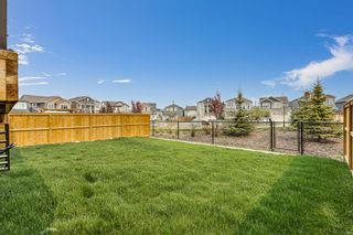 Photo 23: 20 Osborne Link SW: Airdrie Detached for sale : MLS®# A2049685