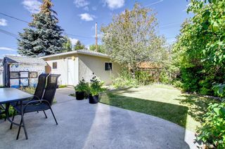Photo 24: 4444 Dalhart Road NW in Calgary: Dalhousie Detached for sale : MLS®# A1259636