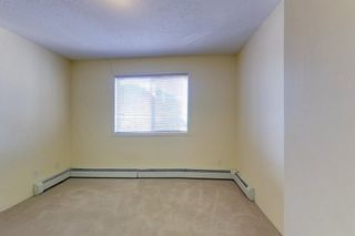 Photo 17: 341 200 Richard Street: Fort McMurray Apartment for sale : MLS®# A1259256