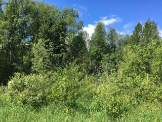 Main Photo: LOT A PGP - 39445 MARSH Road in Quesnel: Quesnel - Rural West Land for sale (Quesnel (Zone 28))  : MLS®# R2591543