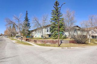 Photo 50: 115 Beacham Way NW in Calgary: Beddington Heights Detached for sale : MLS®# A1212164