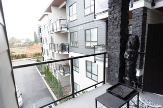 Photo 21: 316 20362 72B Avenue in Langley: Willoughby Heights Condo for sale in "The Jericho" : MLS®# R2846997