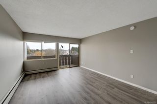 Photo 4: 315 964 Heywood Ave in Victoria: Vi Fairfield West Condo for sale : MLS®# 894229
