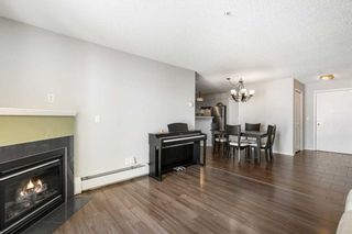 Photo 18: 3314 1620 70 Street SE in Calgary: Applewood Park Apartment for sale : MLS®# A2118344