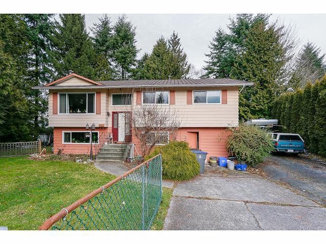 Main Photo: 13923 77A Avenue in Surrey: East Newton House for sale : MLS®# F1415758