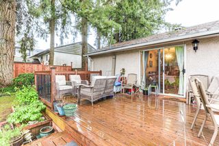 Photo 18: 14574 110A Avenue in Surrey: Bolivar Heights House for sale (North Surrey)  : MLS®# R2872220