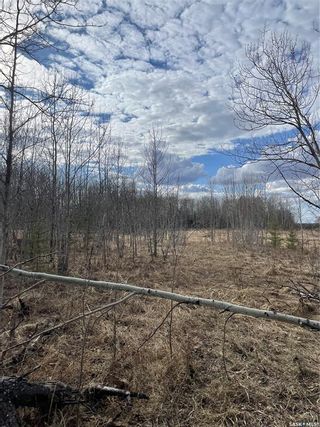Photo 13: 9.17 Acre South in Hudson Bay: Lot/Land for sale : MLS®# SK927895