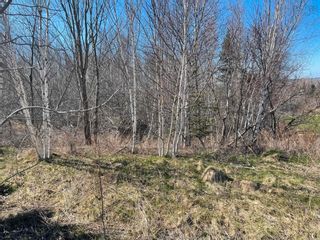 Photo 8: Lot 35 Bradley Road in Maclellan's Brook: 108-Rural Pictou County Vacant Land for sale (Northern Region)  : MLS®# 202307508