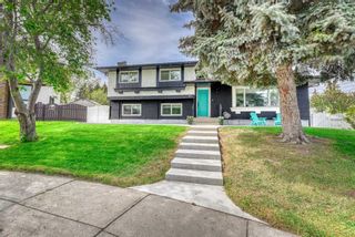 Main Photo: 307 Whitehorn Place NE in Calgary: Whitehorn Detached for sale : MLS®# A2136518