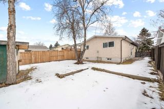 Photo 24: 115 Rundlecairn Road NE in Calgary: Rundle Detached for sale : MLS®# A2104395
