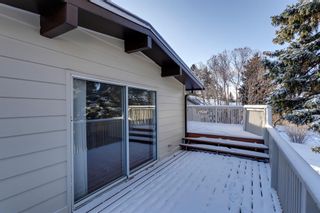Photo 6: 121 Brantford Crescent NW in Calgary: Brentwood Detached for sale : MLS®# A2012065