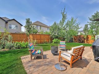 Photo 43: 250 Royal Birch Way NW in Calgary: Royal Oak Detached for sale : MLS®# A1254634