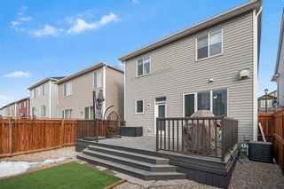 Photo 35: 141 Windrow Link SW: Airdrie Detached for sale : MLS®# A2116719