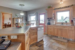 Photo 12: 75 Dolan Close: Red Deer Detached for sale : MLS®# A2059918