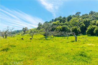 Photo 10: Property for sale: 0 Eagle Canyon Ranch in Goleta