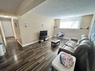 Photo 7: 106A 295 Columbia Boulevard W: Lethbridge Apartment for sale : MLS®# A2021045
