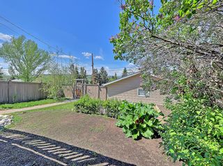Photo 45: 2307 Mackay Road NW in Calgary: Montgomery Detached for sale : MLS®# A1226333