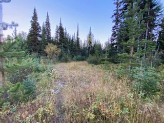 Photo 11: N1/2of DL7871 TAKLA FOREST Road in Prince George: Nechako Ridge Land for sale in "McPhee Road" (PG City North)  : MLS®# R2768067
