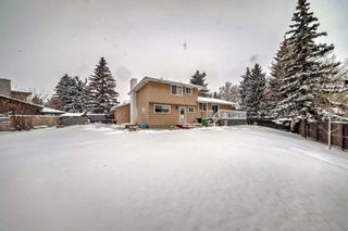 Photo 34: 14 Varmoor Place NW in Calgary: Varsity Detached for sale : MLS®# A2116711