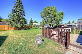 Photo 27: 77 2 Street SE: High River Detached for sale : MLS®# A1029199