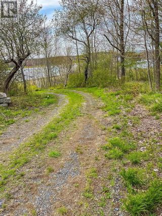 Photo 5: 5562 Highway 10 in New Germany: Vacant Land for sale : MLS®# 202309131