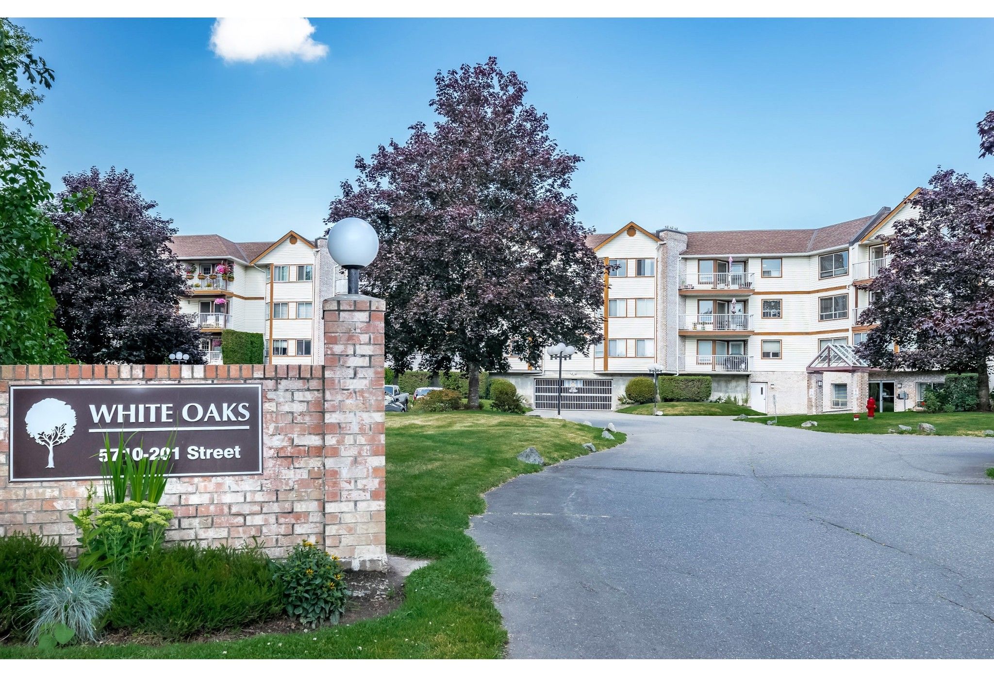 Main Photo: 312 5710 201 Street in Langley: Langley City Condo for sale in "WHITE OAKS" : MLS®# R2387162