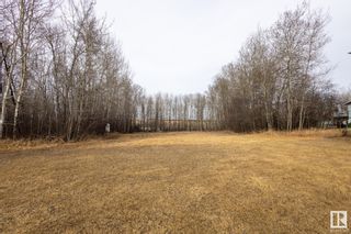 Photo 21: Hwy 2 Twp Road 670: Rural Athabasca County Vacant Lot/Land for sale : MLS®# E4382679