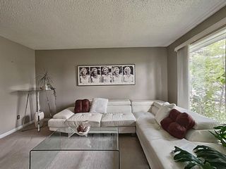 Photo 4: 172 Abalone Place NE in Calgary: Abbeydale Semi Detached (Half Duplex) for sale : MLS®# A2000430