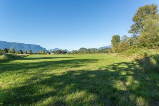 Photo 14: 19558 FENTON ROAD in PITT MEADOWS: Home for sale : MLS®# V1083507