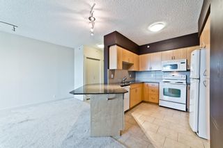 Photo 10: 517 8710 Horton Road SW in Calgary: Haysboro Apartment for sale : MLS®# A1176470