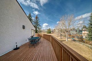 Photo 42: 59 Sandarac Circle NW in Calgary: Sandstone Valley Row/Townhouse for sale : MLS®# A2116581