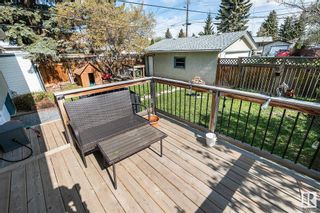 Photo 37: 15624 83 Avenue in Edmonton: Zone 22 House for sale : MLS®# E4316698
