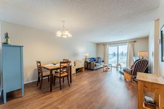 Photo 6: 1317 6224 17 Avenue SE in Calgary: Red Carpet Apartment for sale : MLS®# A2025843