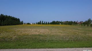 Photo 5: Acreage Building Site Elevator Road Wakaw in Wakaw: Lot/Land for sale : MLS®# SK930545