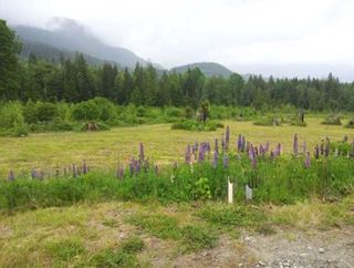 Photo 13: LOT 8 CASCADIA PARKWAY in Gibsons: Gibsons & Area Land for sale (Sunshine Coast)  : MLS®# R2044998