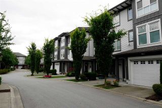 Photo 17: 113 18777 68A AVENUE in Langley: Clayton Townhouse for sale (Cloverdale)  : MLS®# R2084636