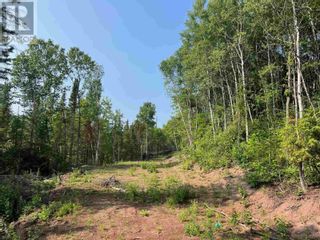 Photo 3: 131 Second Line RD in Sault Ste. Marie: Vacant Land for sale : MLS®# SM232556