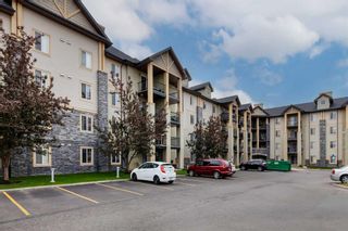 Photo 31: 1429 8810 Royal Birch Boulevard NW in Calgary: Royal Oak Apartment for sale : MLS®# A2142221