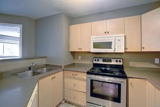 Photo 6: 4219 4975 130 Avenue SE in Calgary: McKenzie Towne Apartment for sale : MLS®# A1234393