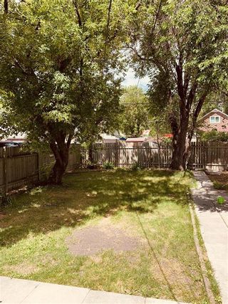 Photo 13: 353 Regent Avenue in Winnipeg: West Transcona Residential for sale (3L)  : MLS®# 202017371
