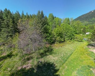 Photo 10: Lot C VICTORIA AVENUE in Kaslo: Vacant Land for sale : MLS®# 2476304