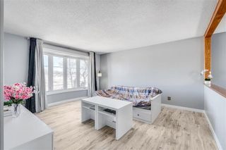 Photo 10: 294 Murray Avenue in Winnipeg: Riverbend Residential for sale (4E)  : MLS®# 202304070