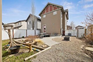 Photo 26: 234 Silverado Plains Close SW in Calgary: Silverado Detached for sale : MLS®# A2124334