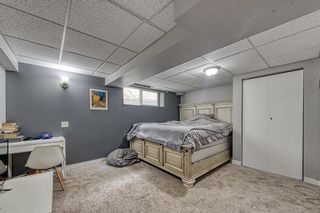Photo 22: 4431 Dalhart Road NW in Calgary: Dalhousie Detached for sale : MLS®# A2050189